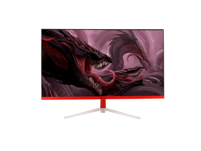 Monitor Gamer 24 Curvo 165Hz